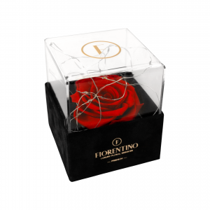 ακρυλικό κουτί με led φώτα και τριαντάφυλλο forever